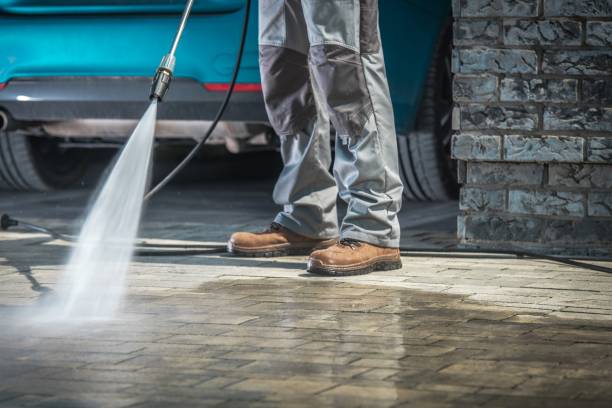 Trusted Dorothy, NJ Pressure Washing Services Experts