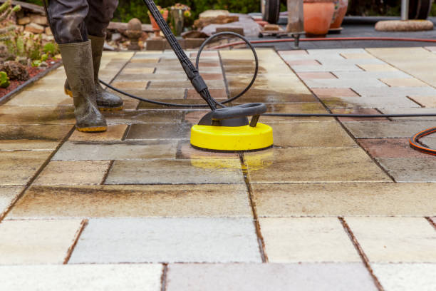 Best Animal Enclosure Cleaning  in Dorothy, NJ