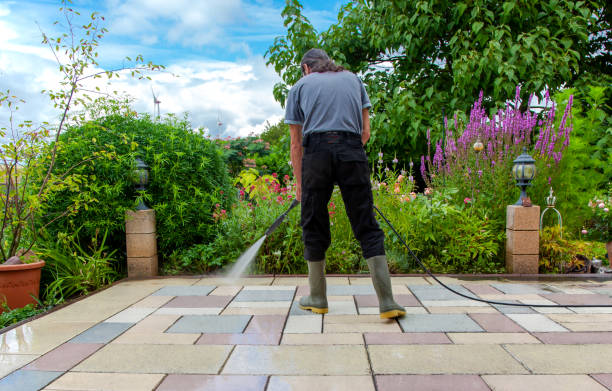 Best Parking Lot and Garage Cleaning  in Dorothy, NJ