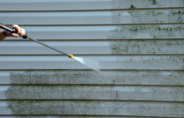 Best Roof Washing  in Dorothy, NJ
