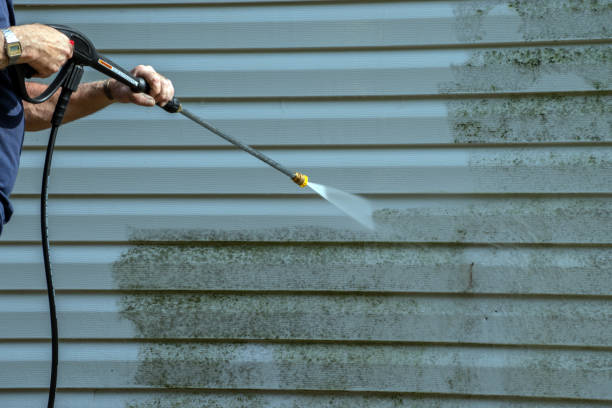 Best Pool Deck Cleaning  in Dorothy, NJ